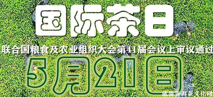 一山一味||同一款茶，兩次品茗？